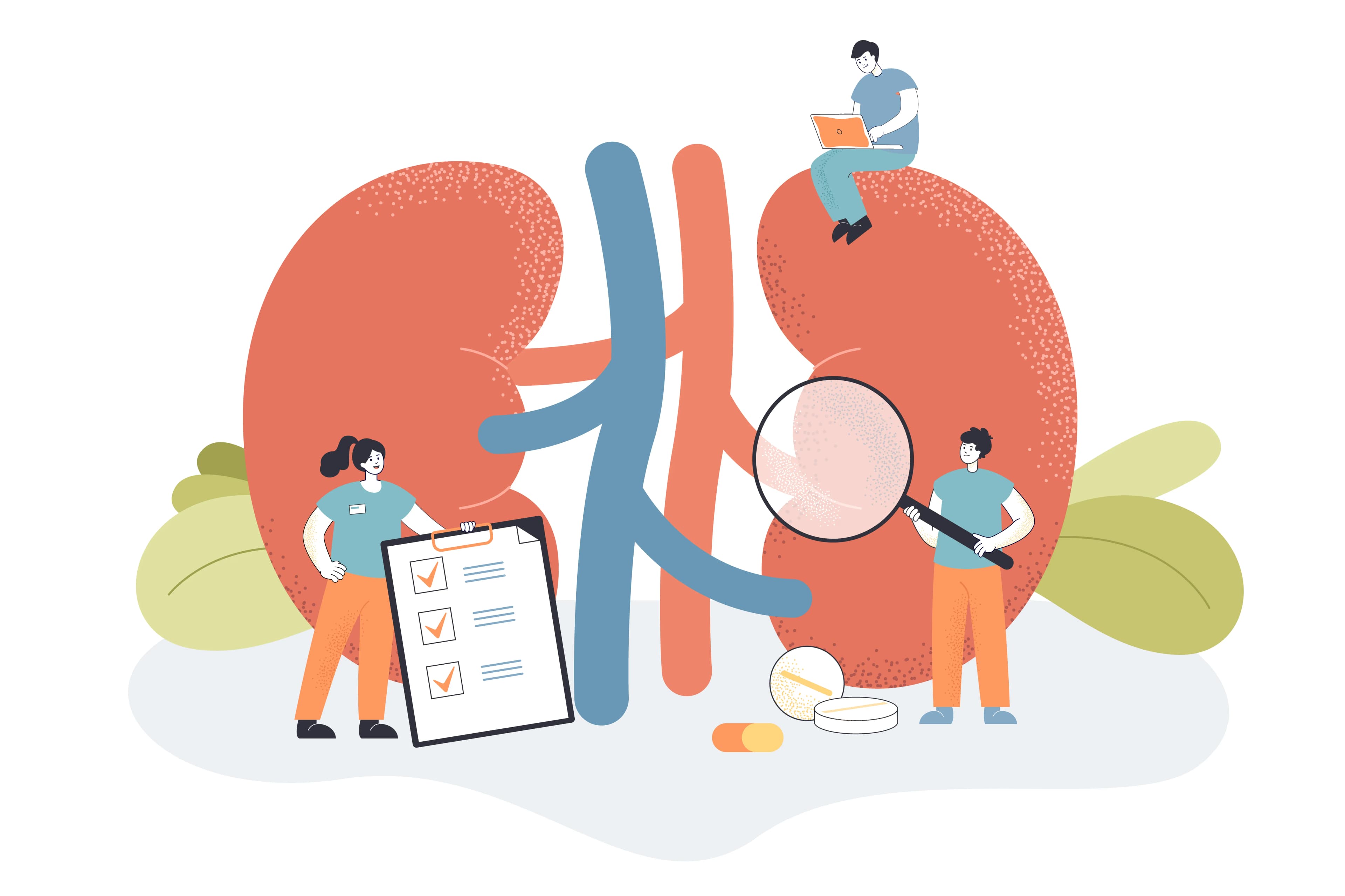 Kidney Health