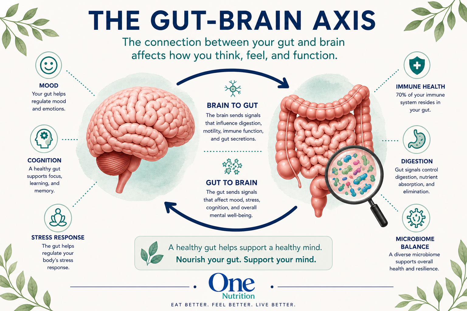 Graphic illustration of the gut-brain axis showing communication between the brain and microbiome